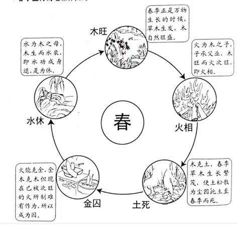 五行旺金|五行的旺、相、休、囚、死